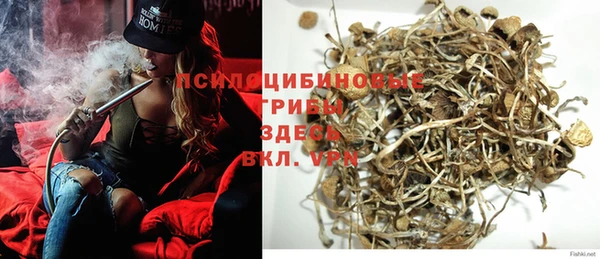 тгк Хадыженск