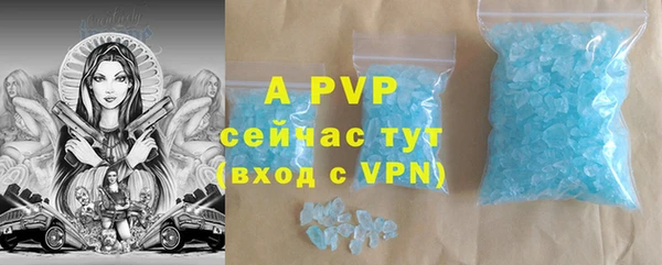 ECSTASY Чекалин
