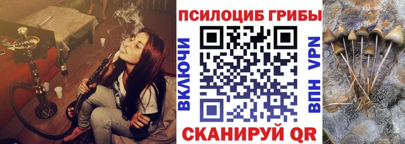 Галлюциногенные грибы GOLDEN TEACHER  Яблоновский 